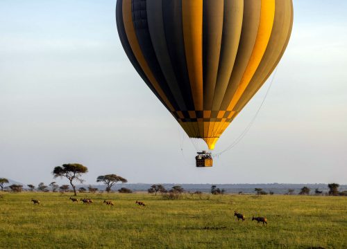 Safari di 5 giorni / 4 notti con volo in mongolfiera – Tsavo Est, Amboseli e Tsavo Ovest