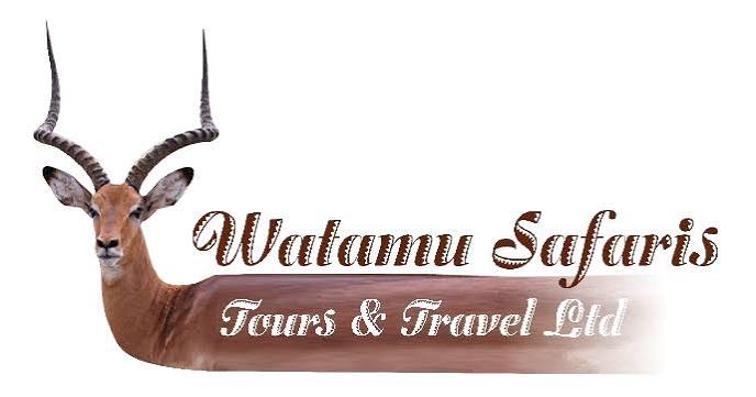 Watamu Safaris