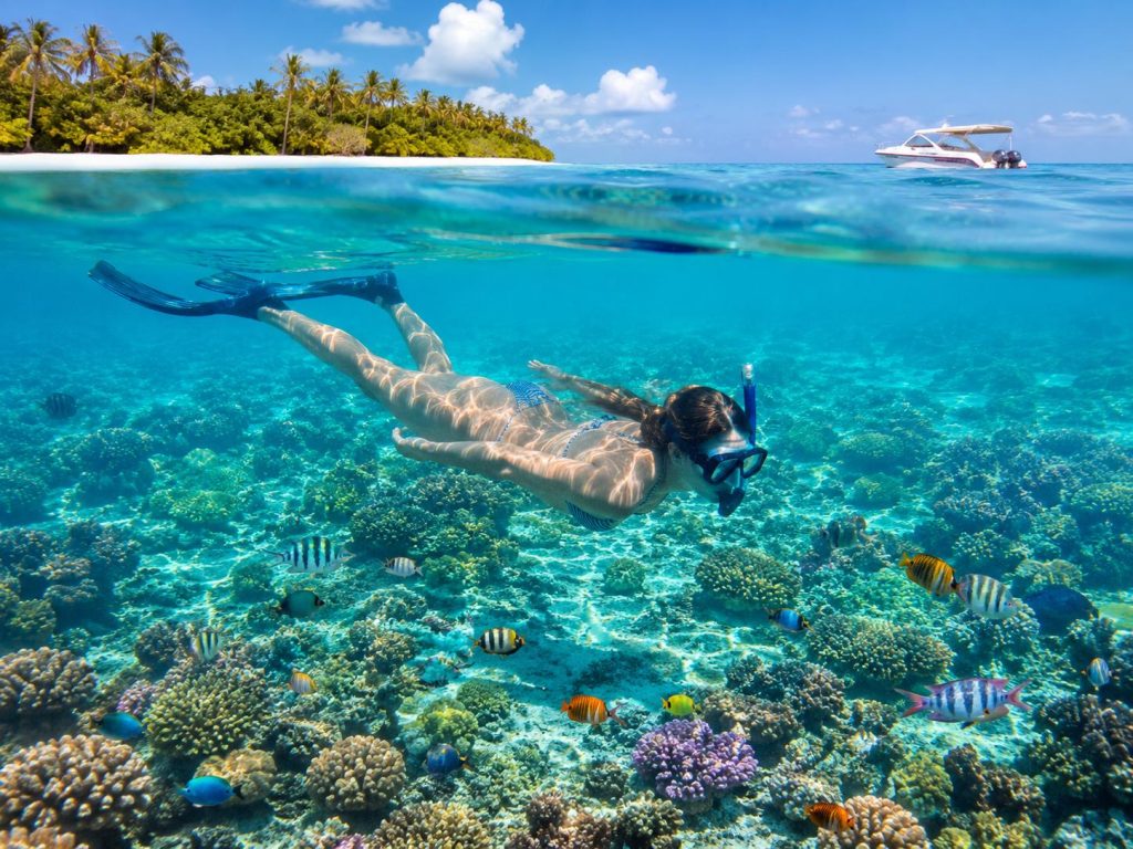 Watamu Marine Park Snorkelling experience in Watamu