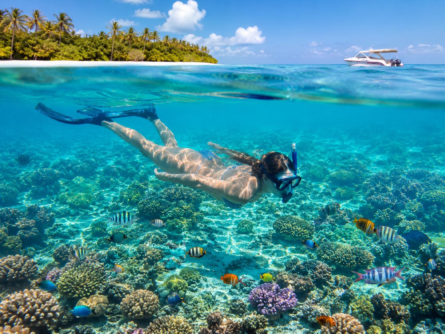Snorkelling